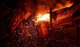 肥东杜大姐最新爆料消息,揭秘事件背后惊人真相！