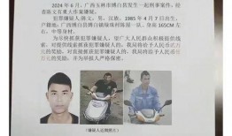 宁都爆料嫌疑人最新消息,嫌疑人最新动态揭秘