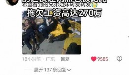 韵达快递最新爆料,揭秘行业变革背后的故事