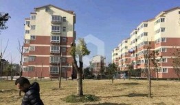 最新家园爆料,最新动态与未来展望