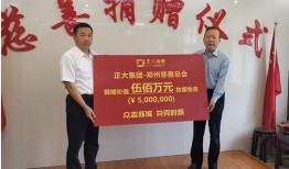 洛阳正大集团最新爆料,揭秘企业转型与市场布局新动向