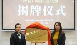 西安女士爆料新闻视频最新,揭秘背后惊人真相