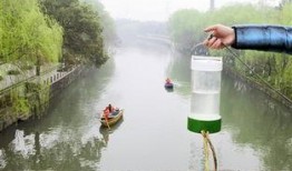 治水最新爆料消息