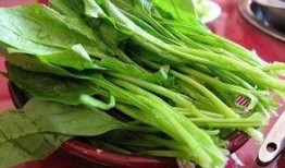 菠菜最新爆料图片,揭秘蔬菜界的“绿色明星”