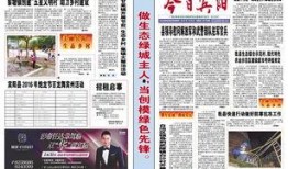 广西宾阳最新闻爆料网站,揭秘本地热点事件背后的真相