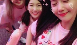 apink最新爆料,最新爆料引粉丝热议！