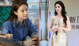 明星故事最新爆料,揭秘当红明星背后的惊人真相